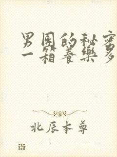 男团的秘密BY一箱养乐多小说