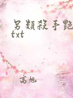 另类杀手艳福星txt