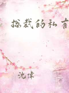 总裁的私有宝贝