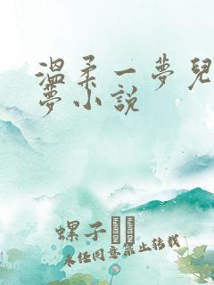 温柔一梦儿媳林梦小说