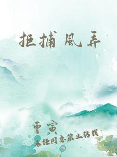 拒捕 风弄