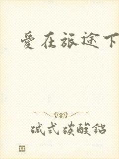 爱在旅途下载