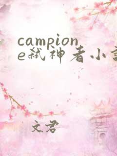 campione弑神者小说