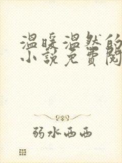 温暖温然的穿越小说免费阅读