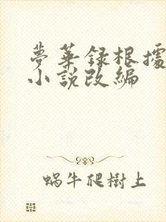 梦华录根据什么小说改编