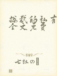 总裁的私有宝贝全文免费