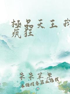 极品天王 我本疯狂