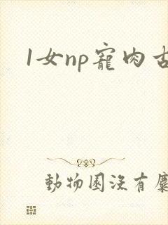 1女np宠肉古