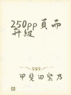 250pp页面升级