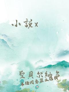 小说x