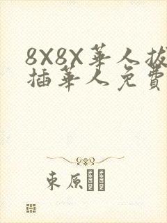 8X8X华人拔插华人免费