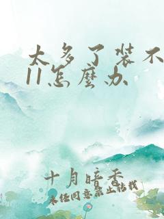 太多了装不下h11怎么办