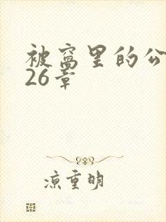 被窝里的公憩第26章