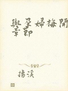 与孕妇梅开三度章节