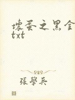 坏蛋之黑金帝国txt