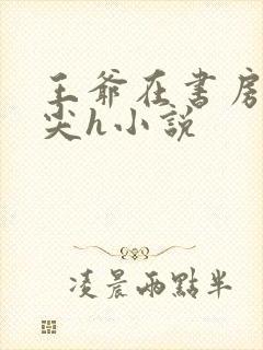 王爷在书房含乳尖h小说