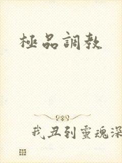 极品调教