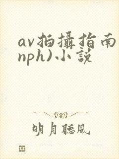 av拍摄指南(nph)小说
