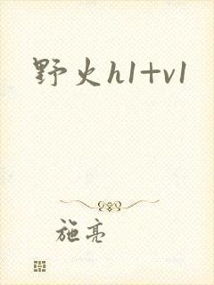 野火h1+v1