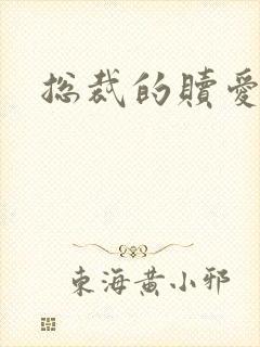 总裁的赎爱宝贝