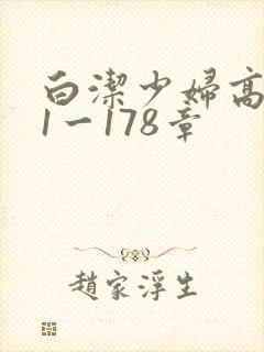 白洁少妇高义第1一178章