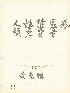 人性禁区感人视频免费看