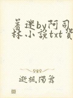 着迷by阿司匹林小说txt资源