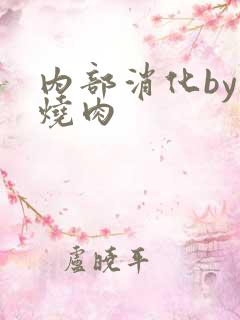 内部消化by红烧肉