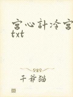 宫心计冷宫皇后txt