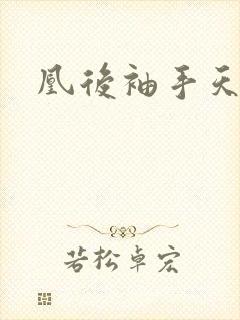 凰后袖手天下