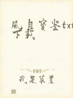 风月宝鉴txt下载