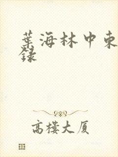 叶海林中东风云录