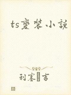 ts变装小说