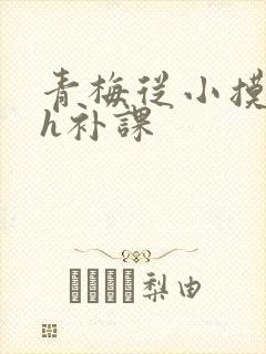 青梅从小摸到大h补课
