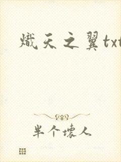 炽天之翼txt
