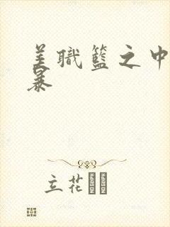 美职篮之中国风暴