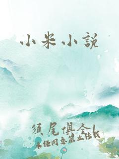 小米小说