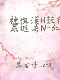 被粗汉H玩松了尿进去N-红-Q