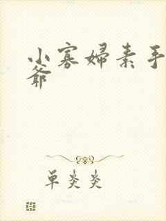 小寡妇素手擒四爷