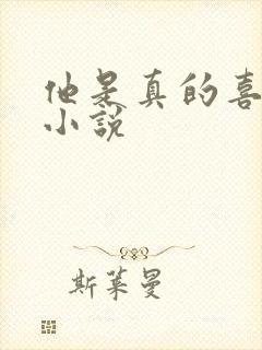 他是真的喜欢你小说