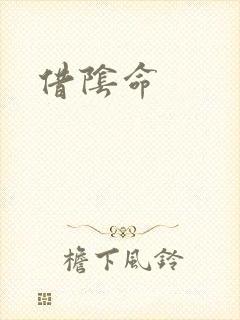 借阴命