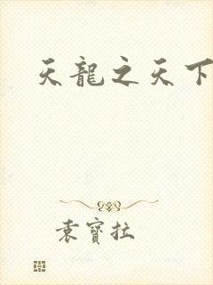 天龙之天下有我