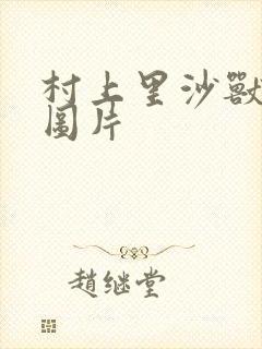 村上里沙兽皇及图片