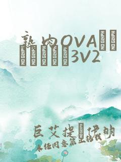 熟肉OVAちゃんはしたい3V2