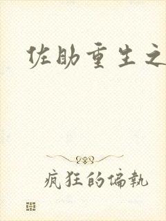 佐助重生之死神