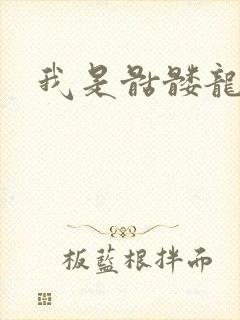 我是骷髅龙骑兵