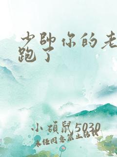 少帅你的老婆又跑了