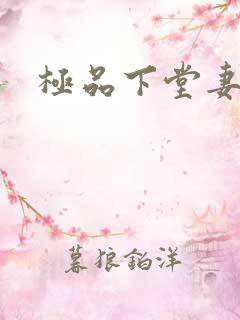 极品下堂妻