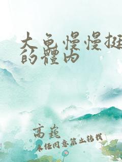 大龟慢慢挺进我的体内