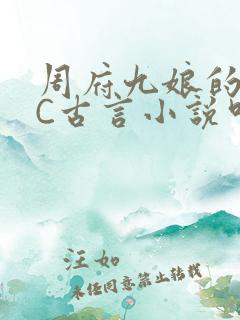 周府九娘的NPC古言小说叫什么